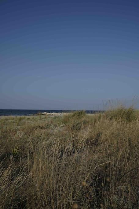 Casa Vacanze Campomarino  Buitenkant foto